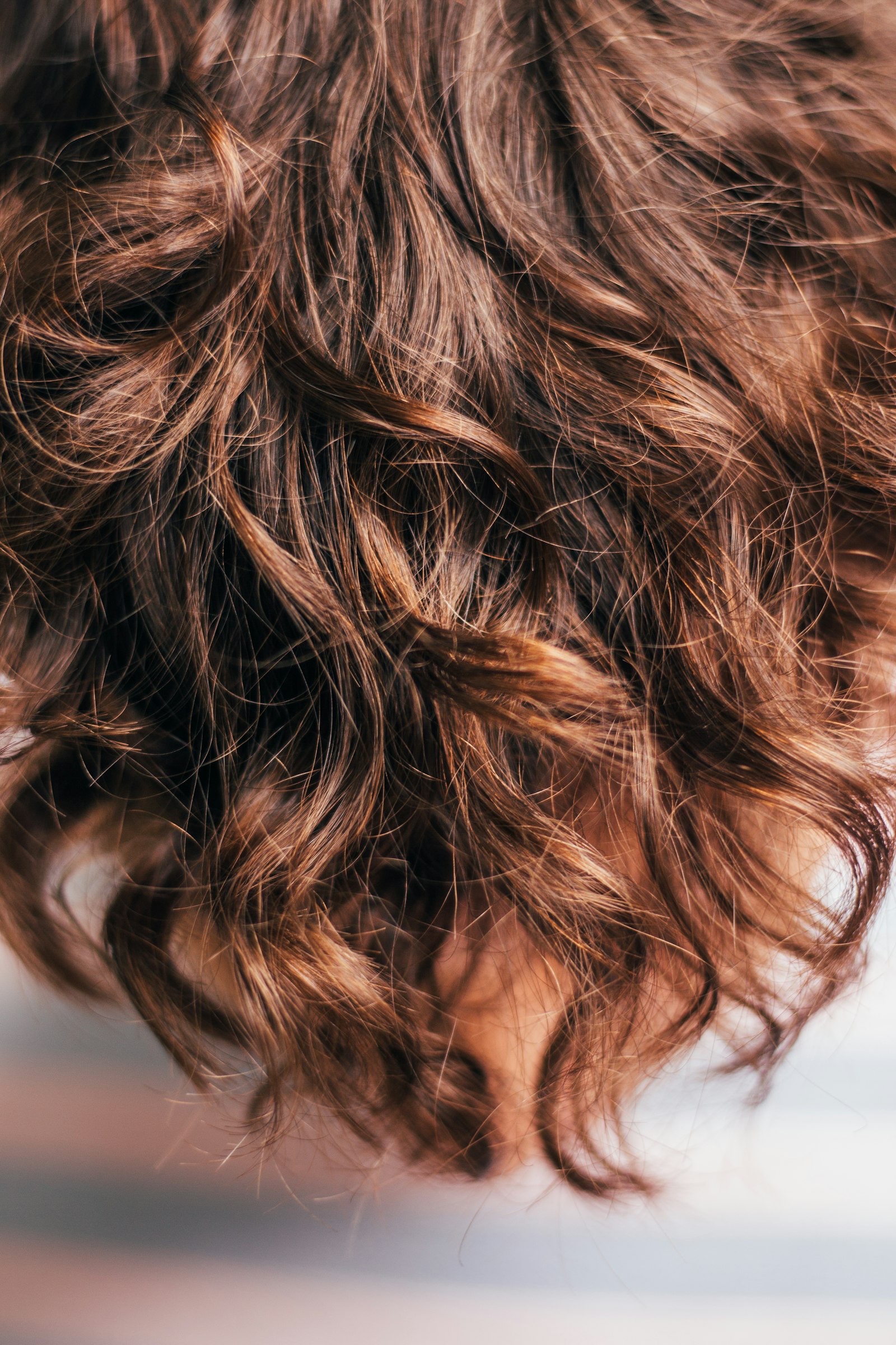 Close-up of full, glossy hair lit in soft blue light